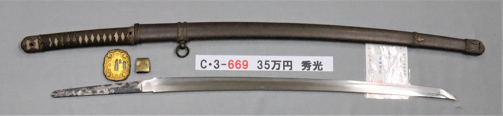 C3669