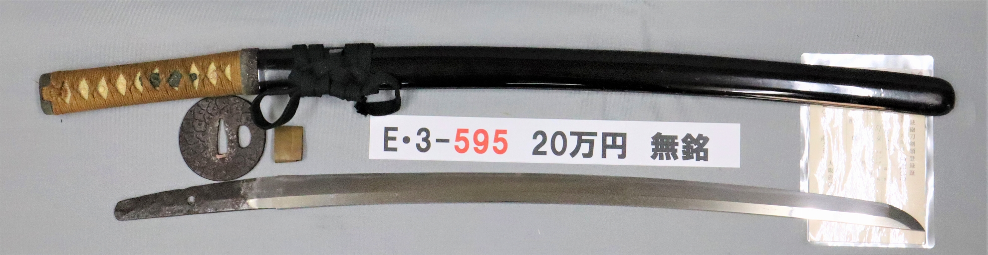 E3595