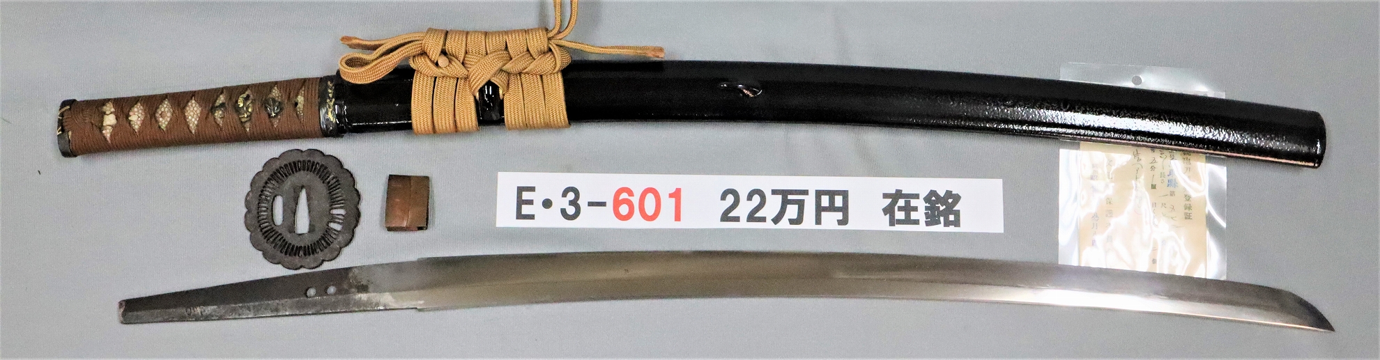 E3601